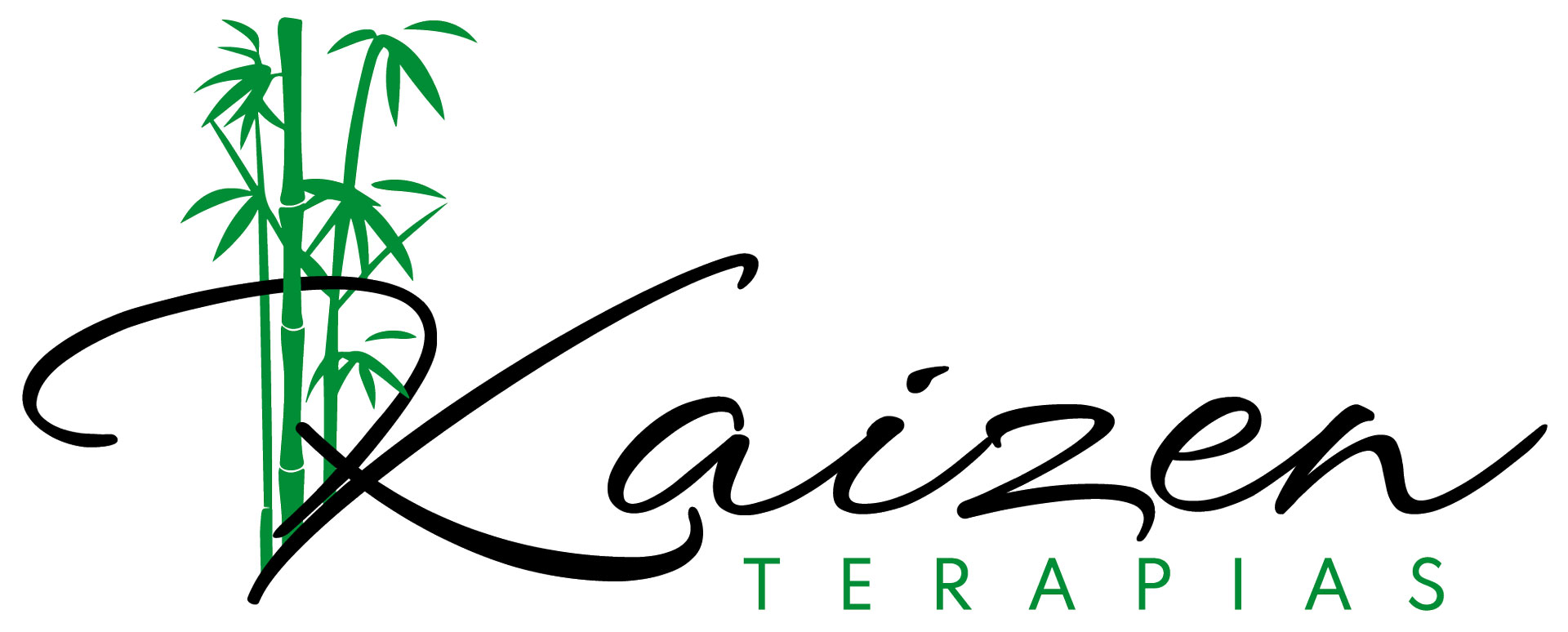 Kaizen Terapias